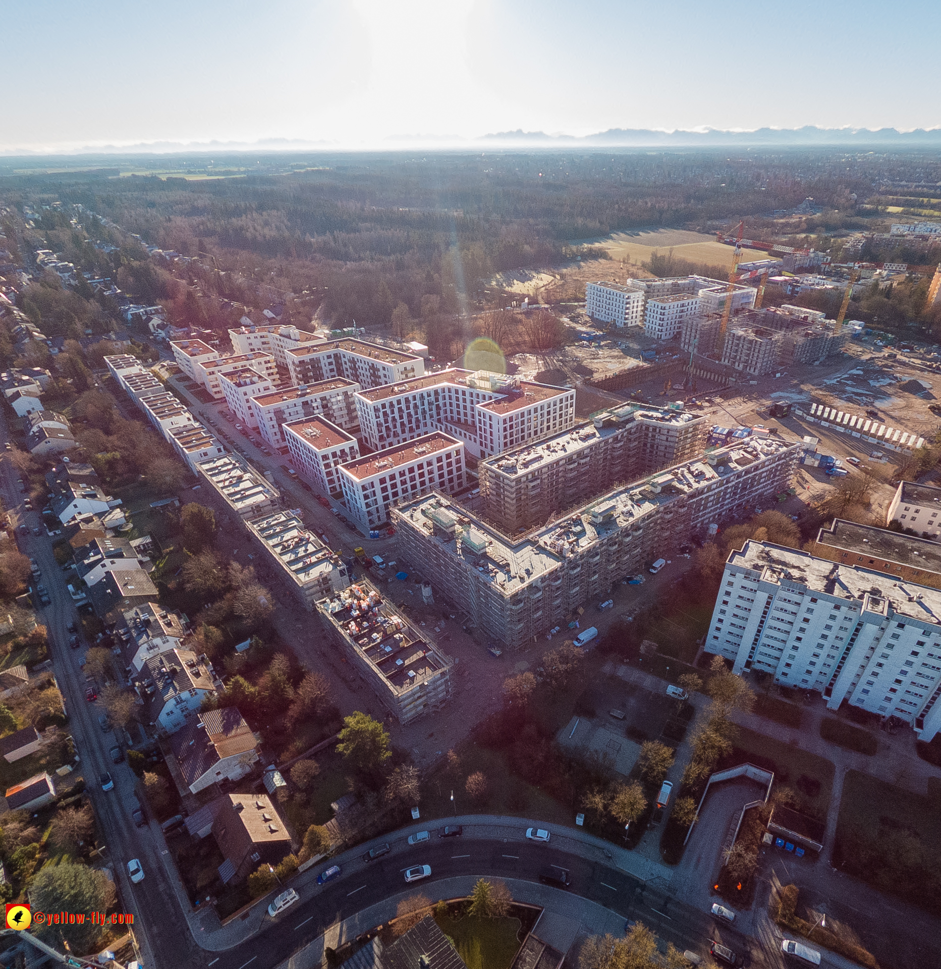 16.01.2023 - Alexisquartier und Pandion Verde 16.01.2023 - Alexisquartier und Pandion Verde